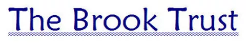 The Brook trust